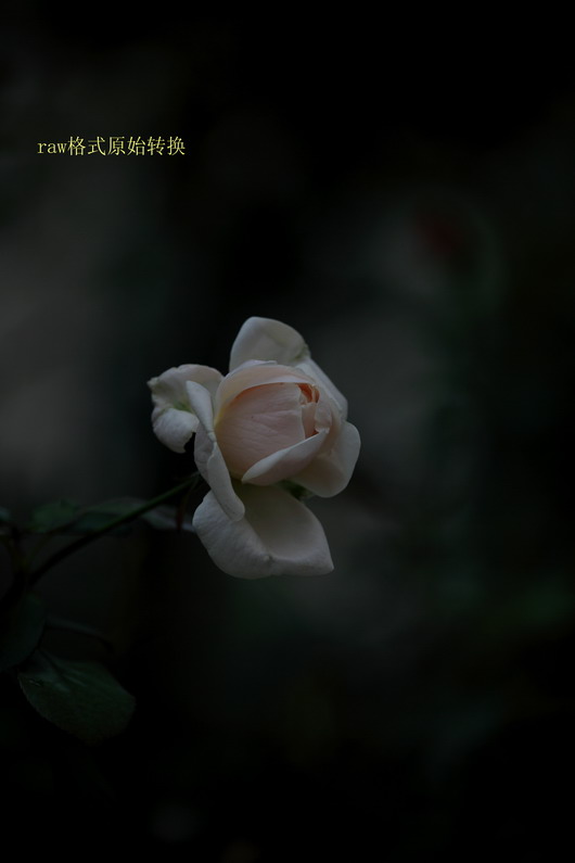 20110919久雨终停3104_调整大小.JPG