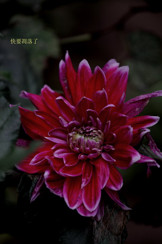 20110919久雨终停3105_调整大小.JPG