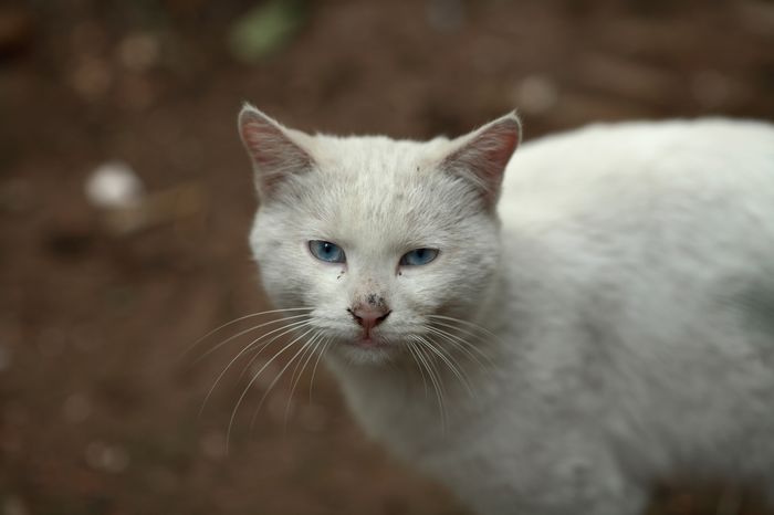 nEO_IMG_20110926 135L试装3460.jpg