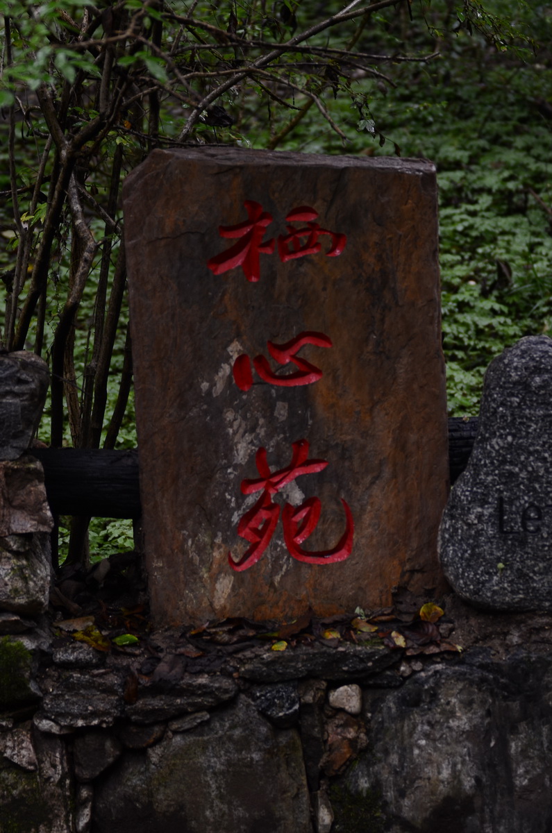 DSC_0121_调整大小.JPG