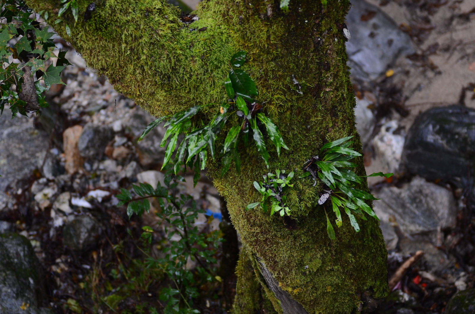 DSC_0302_调整大小.JPG