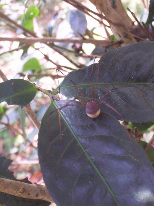 调整大小 100_7470.jpg