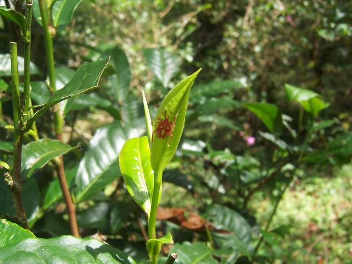 调整大小 100_7472.jpg