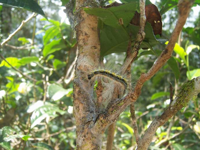 调整大小 100_7479.jpg