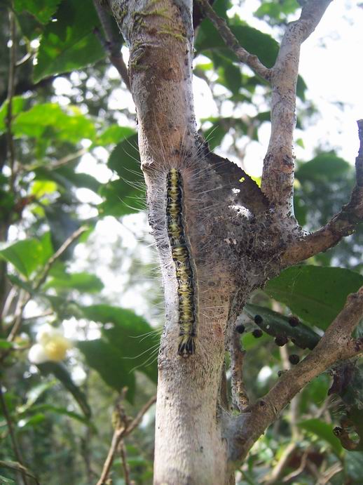 调整大小 100_7480.jpg