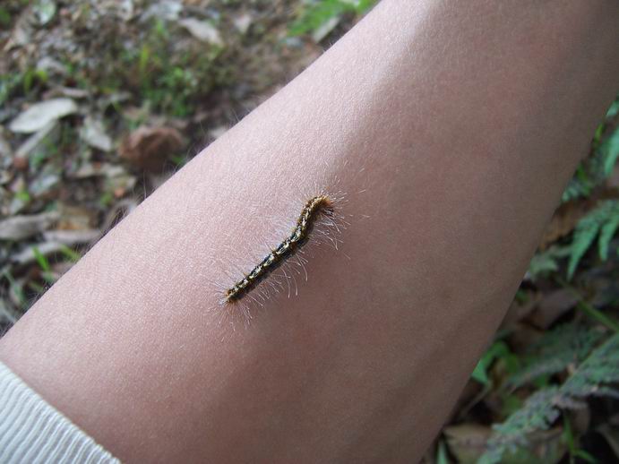 调整大小 100_7503.jpg