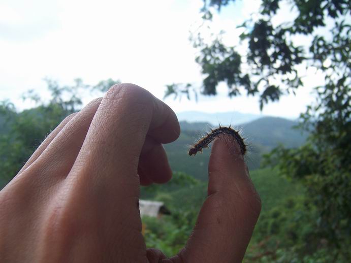 调整大小 100_7506.jpg