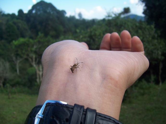 调整大小 照片 287.jpg