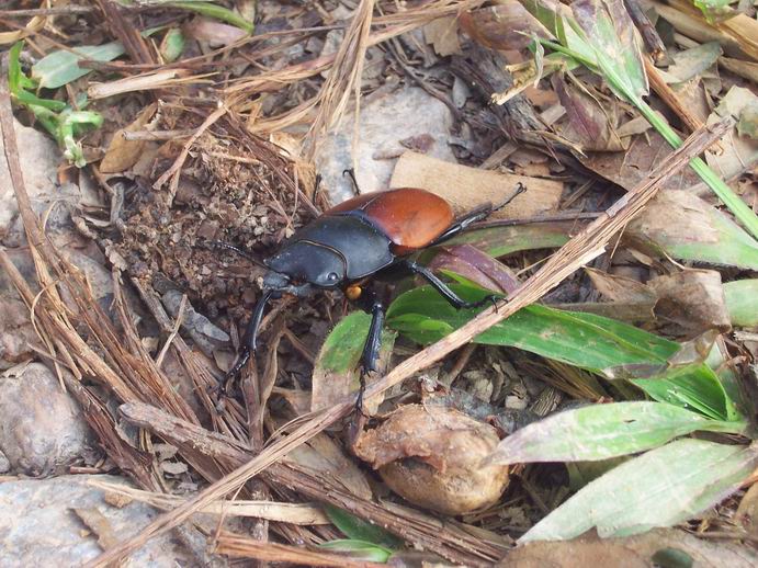 调整大小 100_7391.jpg