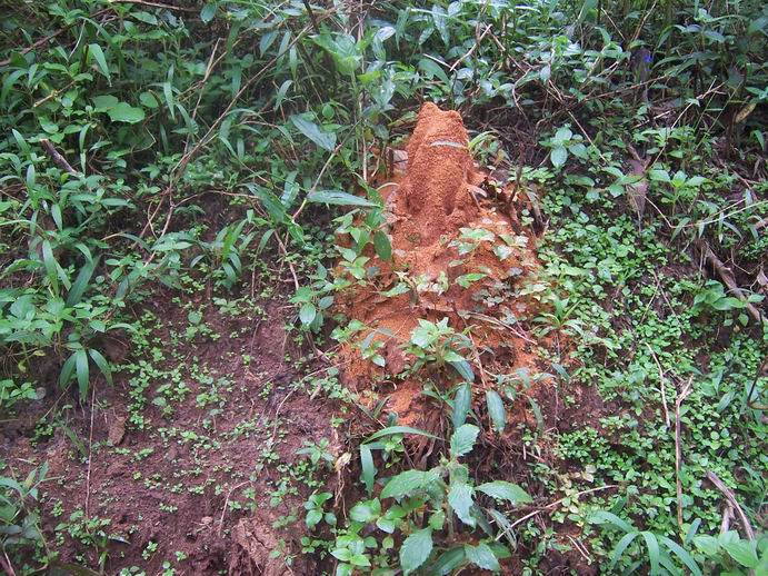 调整大小 100_7395.jpg