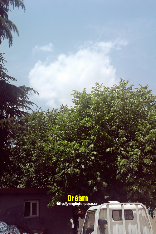 IMAG0044.jpg