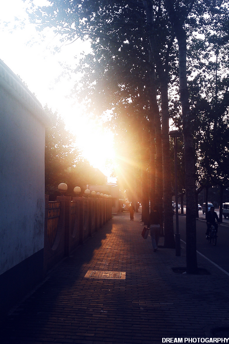 IMAG0108.jpg