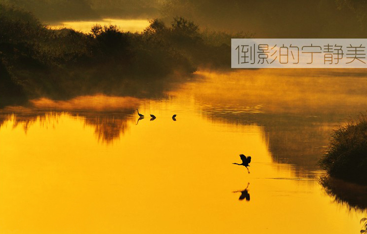 倒影的美.jpg