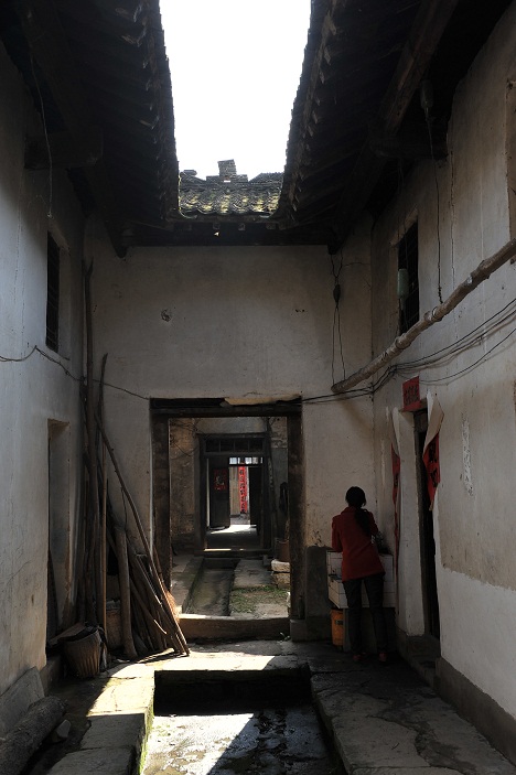 DSC_6913.JPG