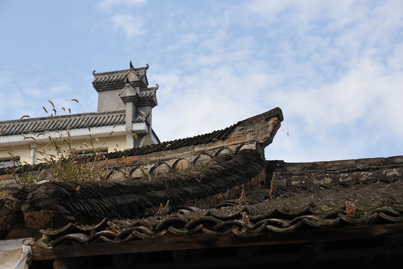 DSC_6969.JPG