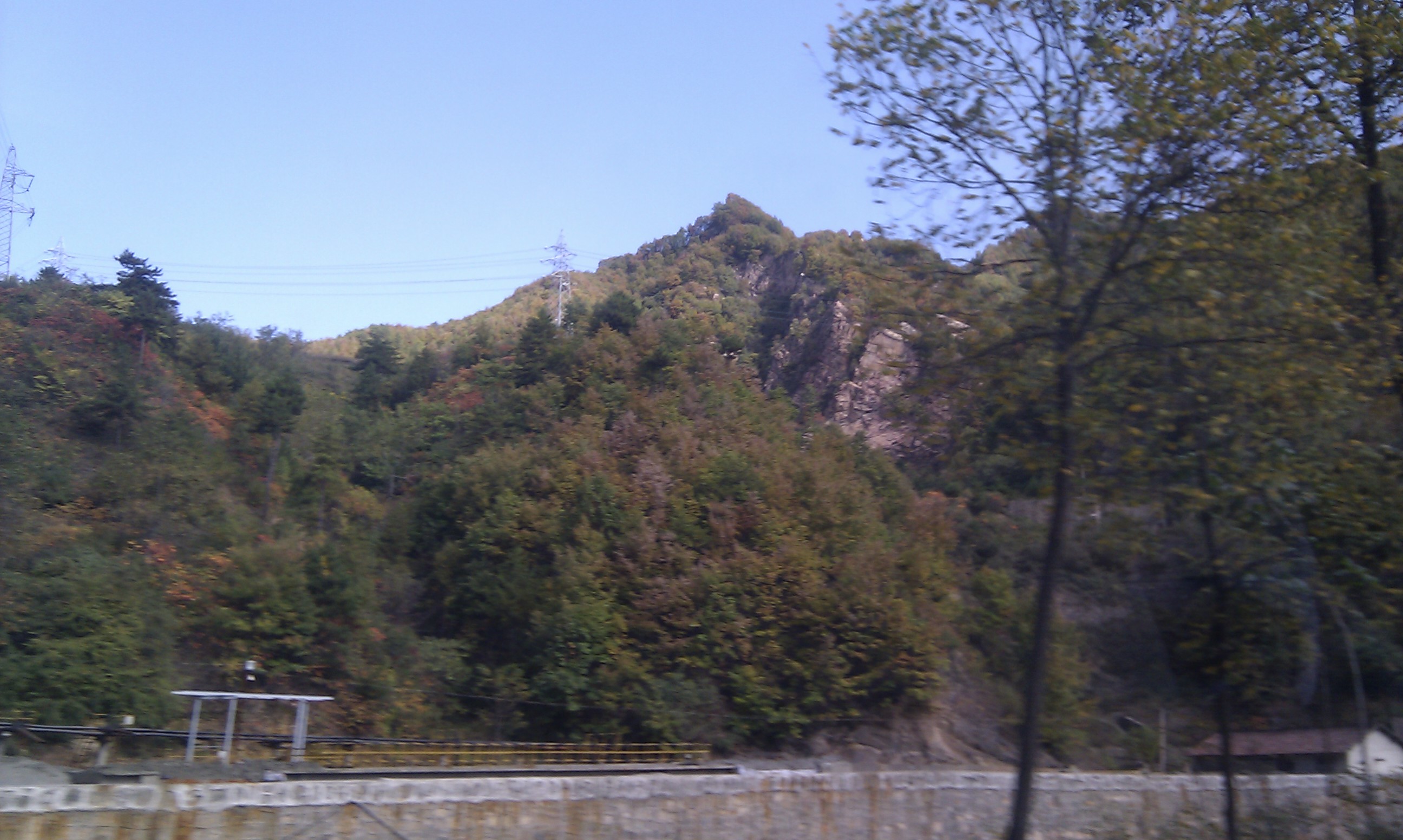 IMAG0344.jpg