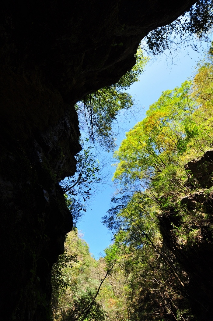 DSC_0097.jpg