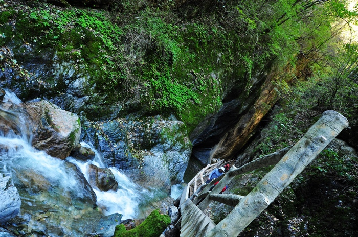 DSC_0155.jpg