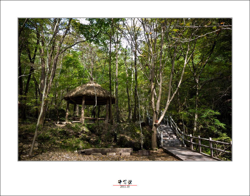 _1010361.jpg