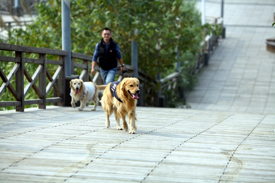 1029CBE的5D2 135L，50mm1.45122_调整大小.JPG