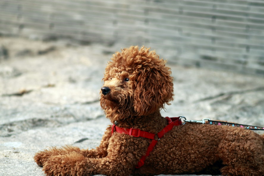1029CBE的500d isxxb等5215_调整大小.JPG