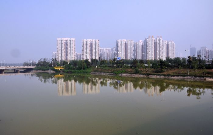 DSC_019640.jpg