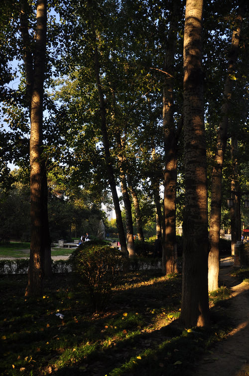 DSC_088030.jpg