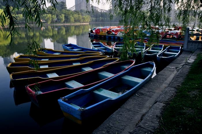 DSC_098525.jpg