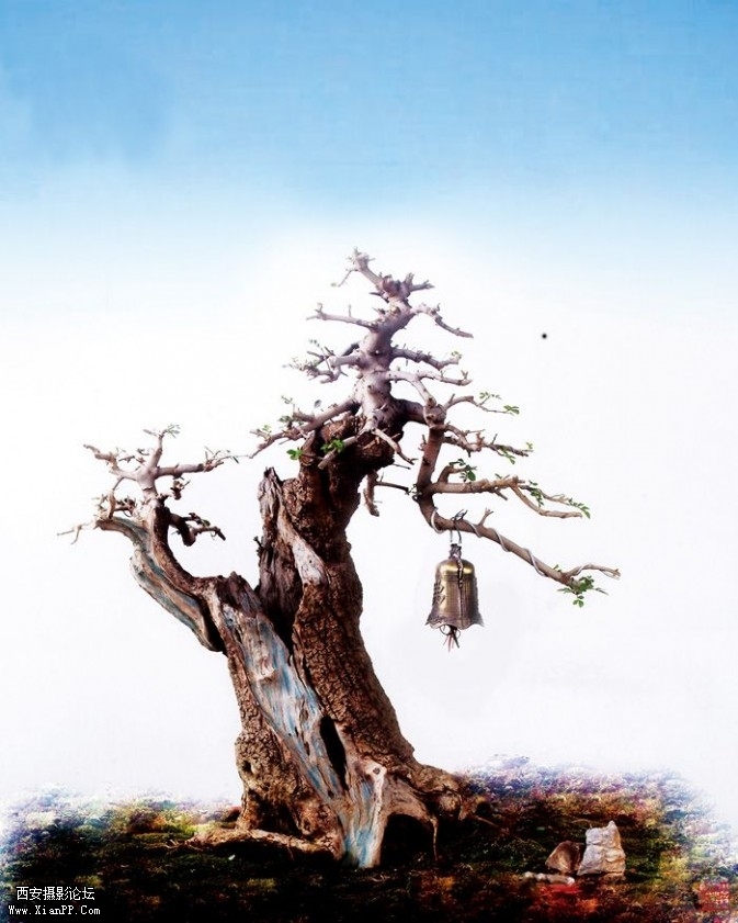 penjing3-673x841.jpg penjing3-673x841.jpg