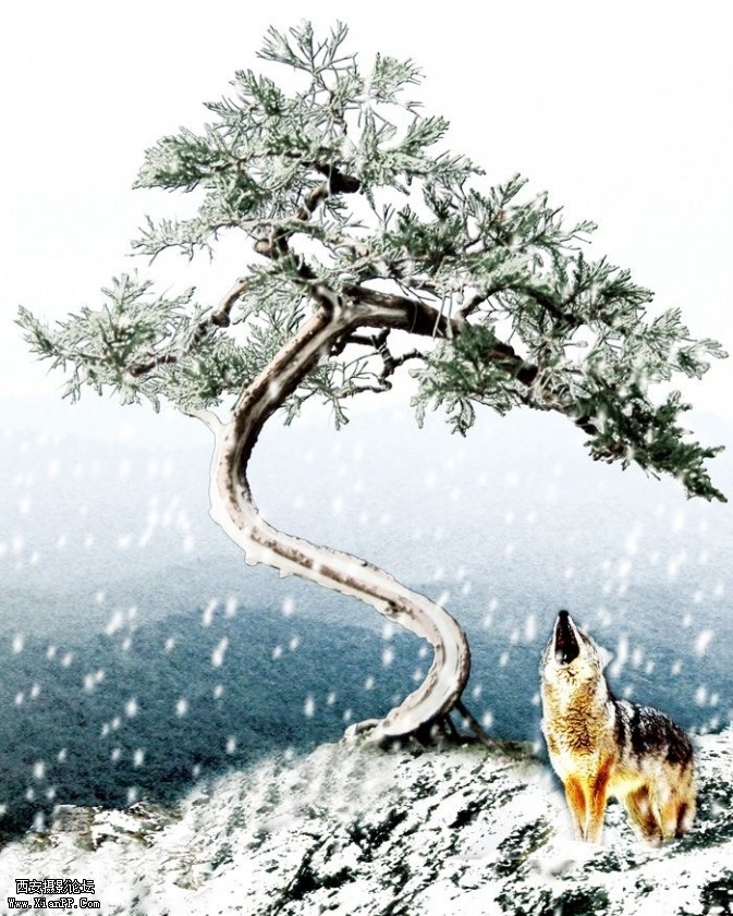 penjing5-673x841.jpg penjing5-673x841.jpg