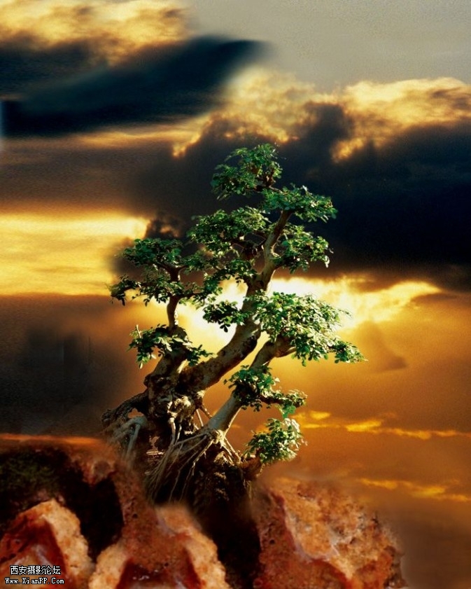 penjing2-673x841.jpg penjing2-673x841.jpg