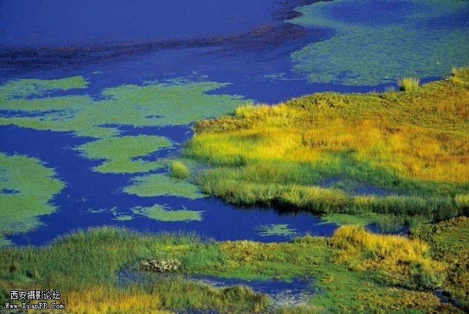 toushi2-673x451.jpg toushi2-673x451.jpg