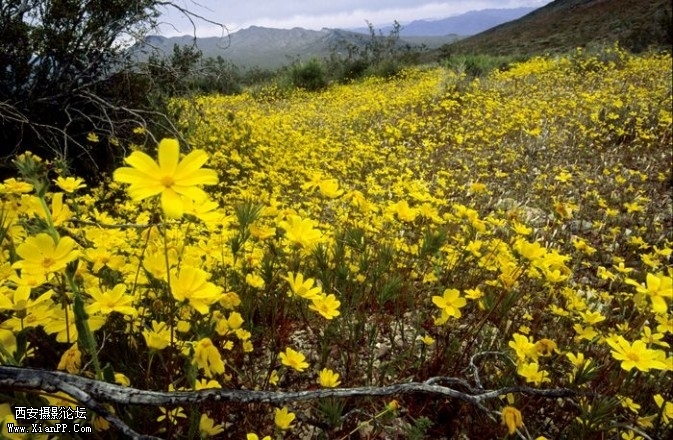 toushi3-673x440.jpg toushi3-673x440.jpg