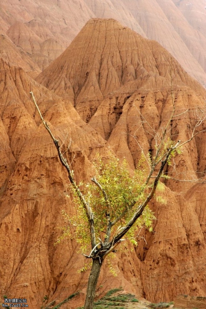 toushi6-673x1009.jpg toushi6-673x1009.jpg