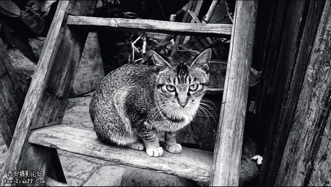 p161-6-673x380.jpg p161-6-673x380.jpg