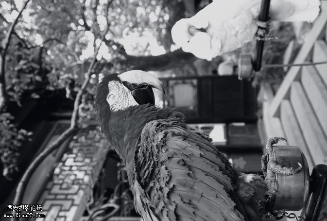 p160-7-673x454.jpg p160-7-673x454.jpg