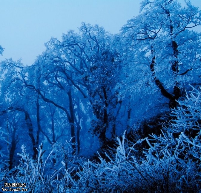 nanshan4-673x648.jpg nanshan4-673x648.jpg