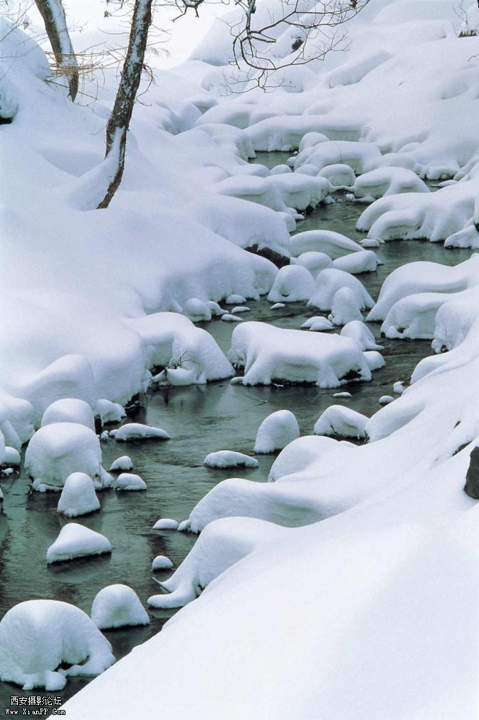 xue00002-673x1010.jpg xue00002-673x1010.jpg