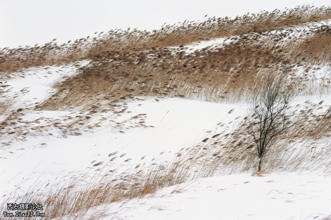 xue00005-673x447.jpg xue00005-673x447.jpg