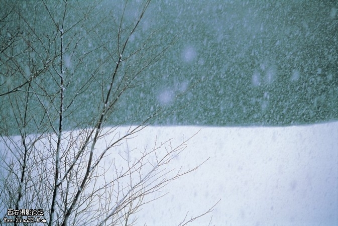 xue00006-673x450.jpg xue00006-673x450.jpg