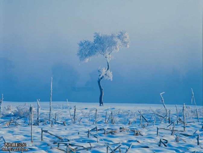 hudong00003-673x509.jpg hudong00003-673x509.jpg