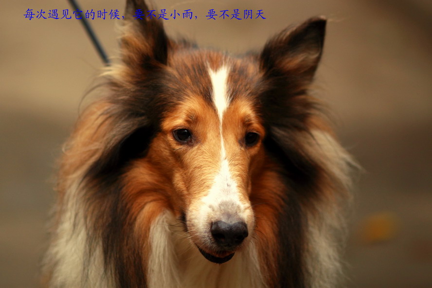 201111015303_调整大小.JPG