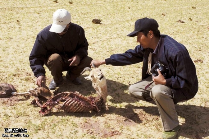 lingyang9-673x447.jpg lingyang9-673x447.jpg