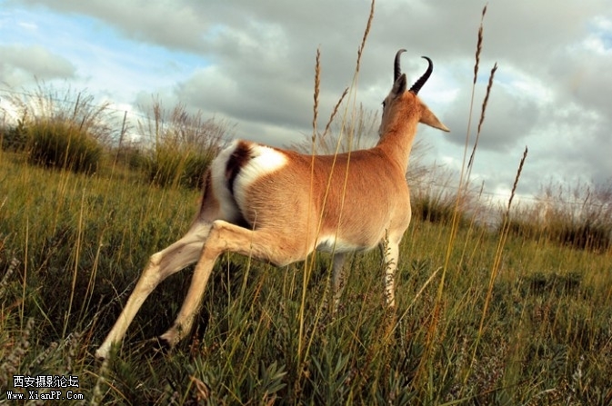 lingyang7-673x447.jpg lingyang7-673x447.jpg