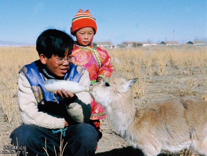 lingyang10-673x509.jpg lingyang10-673x509.jpg