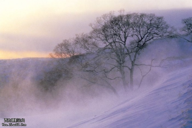 Zsnow3-673x449.jpg Zsnow3-673x449.jpg