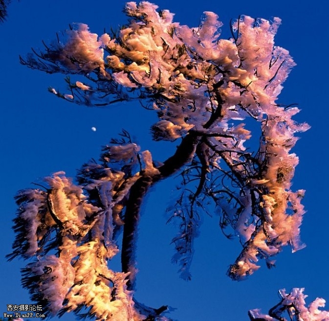 Hsnow5-673x656.jpg Hsnow5-673x656.jpg