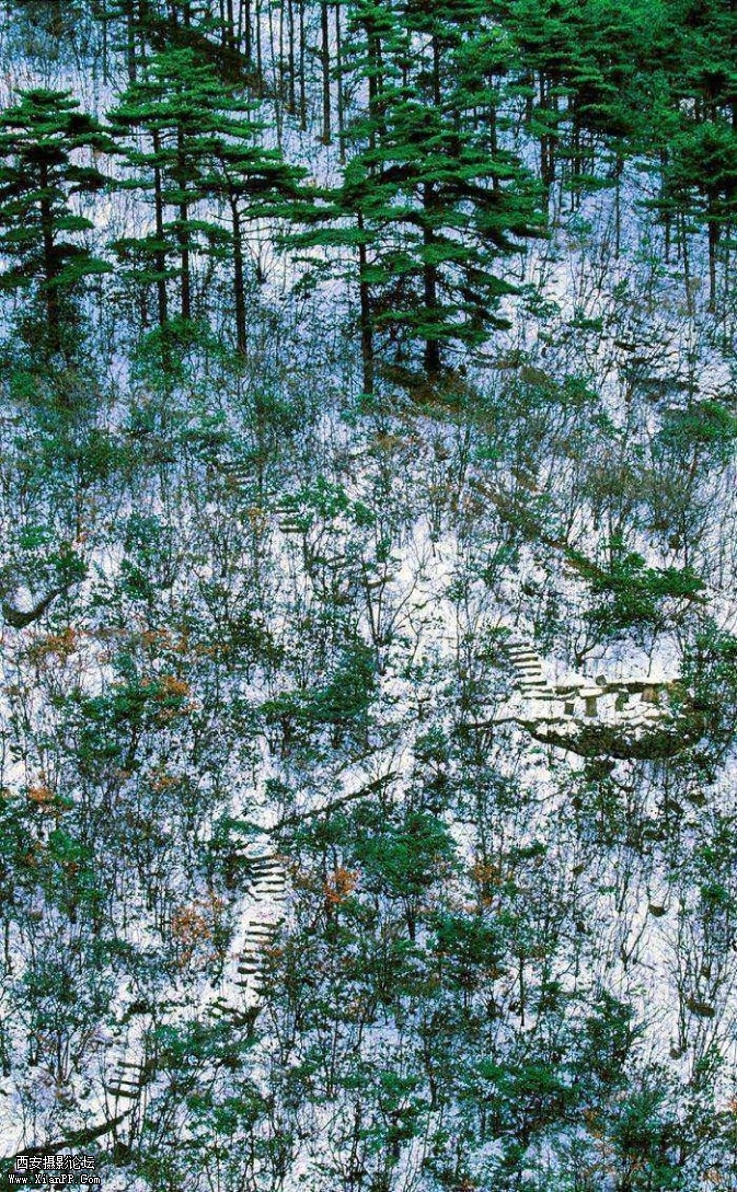 Hsnow9-673x1089.jpg Hsnow9-673x1089.jpg