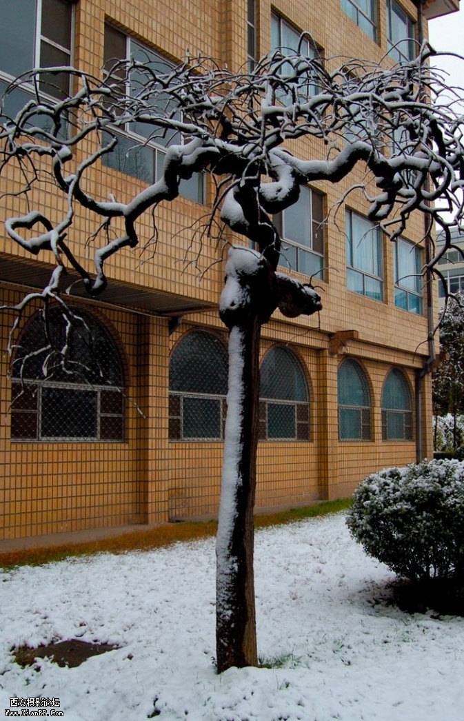 Hsnow10-673x1046.jpg Hsnow10-673x1046.jpg