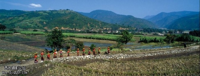 festival28-673x258.jpg festival28-673x258.jpg